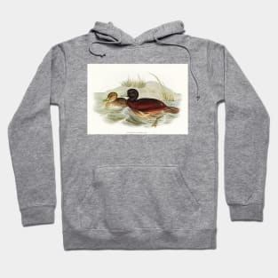 Blue-billed Duck Hoodie